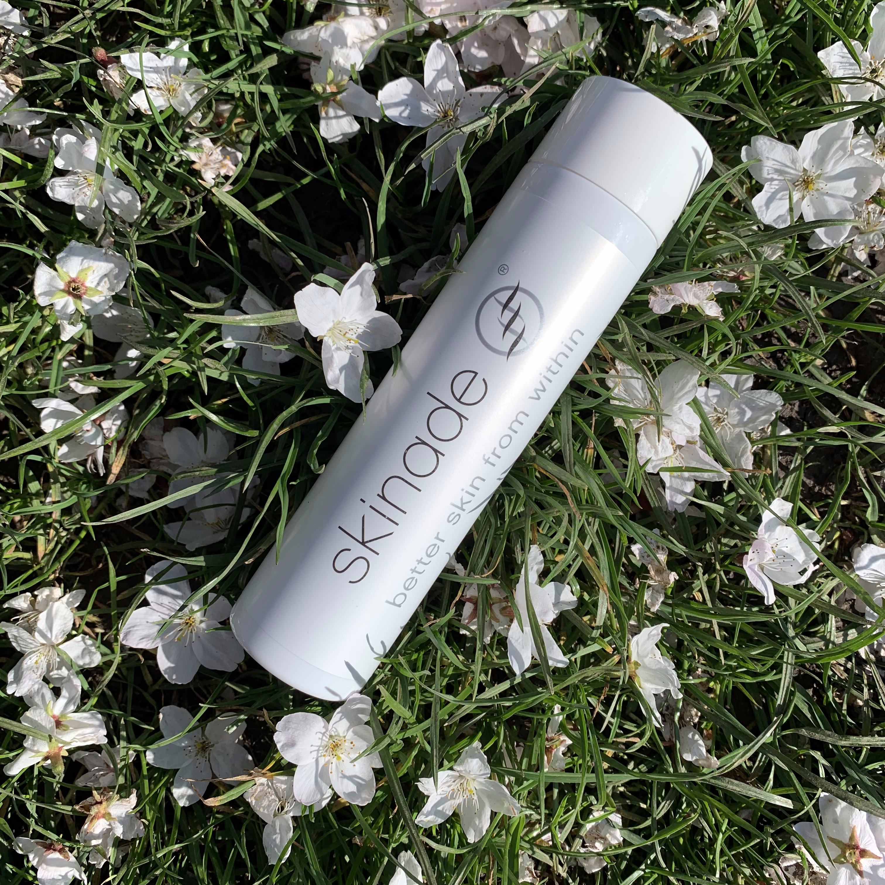 Skinade
